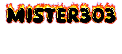 MISTER303